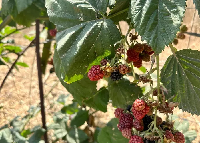 Casal Do Pequeno Casa de Férias